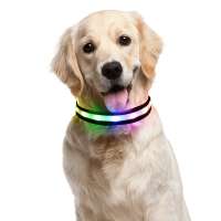 2019 USB 8-color LED Flashing Light Safety Pet Dog Collar