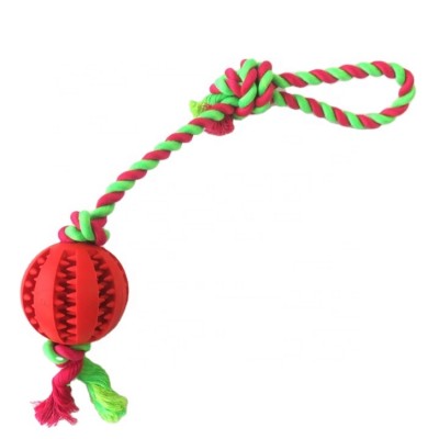 2019 new product lucky dog throw ball toy